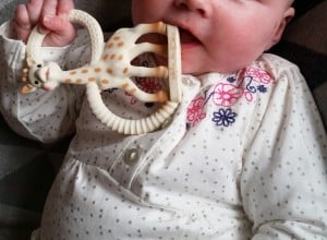 3-15-shoplog-lemonade-amsterdam-watergraafsmeer-bijtring-klein-baby-smal-sophie-le-girafe-giraffe-vulli-shoplog-sjaal-lemonade-Carlijnq-11