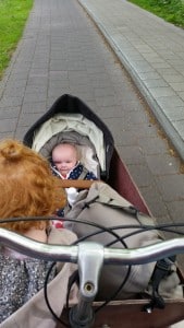 5-15-speeltuin-amsterdam-frankendael-kinderen-baby-Watergraafsmeer-nanny-annelon-nola-gastouder-bakfiets