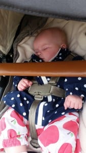5-15-speeltuin-amsterdam-frankendael-kinderen-baby-Watergraafsmeer-nanny-annelon-nola-gastouder-slapen