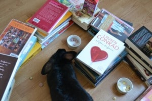 5-25-nanny-spelen-konijnen-drops-Sanal-huisdierenplein-kinderen-dieren-konijnenspel-spel-doolhof-zwart-konijn