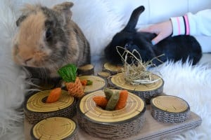 5-25-nanny-spelen-konijnen-huisdierenplein-kinderen-dieren-konijnenspel-speelballen-boredom-breaker-3