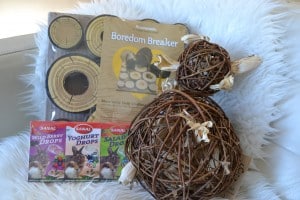 5-25-nanny-spelen-konijnen-huisdierenplein-kinderen-dieren-konijnenspel-speelballen-boredom-breaker