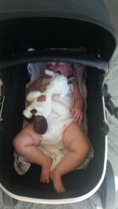 7-15-phil-and-teds-promenade-kid-sit-drie-kinderen-kinderwagen-reiswieg-baby-peuter-twee-duowagen-duo-achter-elkaar-reiswieg