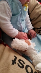 8-15-review-blog-baby-mama-moeder-nanny-annelon-slaapzak-sleepingbag-blauw-in-autostoeltje-maxi-cosi-kinderwagen-dun-hydrofiel-happy-horse