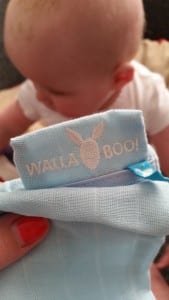 8-15-review-blog-baby-mama-moeder-nanny-annelon-slaapzak-sleepingbag-blauw-in-autostoeltje-maxi-cosi-kinderwagen-dun-hydrofiel-label