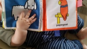 9-15-nanny-amsterdam-nijntje-labelboekje-label-boekje-zacht-stoffen-stof-baby-speelgoed-boek-dieren