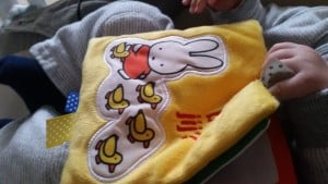 9-15-nanny-amsterdam-nijntje-labelboekje-label-boekje-zacht-stoffen-stof-baby-speelgoed-boek-vasthouden