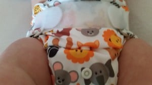 10-15-panda-baby-wasbare-luier-review-dag-proberen-groen-nanny-amsterdam-moeder-drukkers