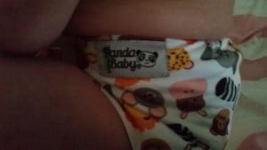 10-15-panda-baby-wasbare-luier-review-dag-proberen-groen-nanny-amsterdam-moeder-logo