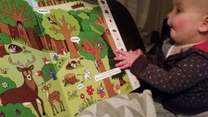 10-15-wat-hoort-poes-baby-peuter-kleuter-boek-drie-jaar-zoekboek-geluidenboek-dieren-boekreview