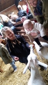 11-15-activiteit-amsterdam-amsterdamse-bos-wandelen-winter-zomer-herfst-lente-boerderij-kinderboerderij-pannenkoeken-geitjes-flesje-melk-geven-kinderen