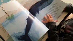 11-15-boek-boekreview-vinvis-prentenboek-kinderen-kleuters-de-blauwe-vinvis-jongens-meisjes-groot
