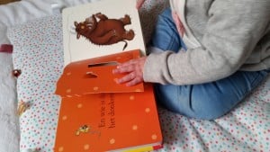 11-15-nanny-Amsterdam-gruffalo-boeken-het-kind-van-de-gruffalo-winter-twee-pakket-boek-kinderen-baby-flapjesboek-wie-woont-daar-daar-gruffalo