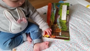 11-15-nanny-Amsterdam-gruffalo-boeken-het-kind-van-de-gruffalo-winter-twee-pakket-boek-kinderen-baby-flapjesboek-wie-woont-daar-zie-en-zag-karton
