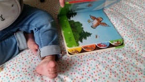 11-15-nanny-Amsterdam-gruffalo-boeken-het-kind-van-de-gruffalo-winter-twee-pakket-boek-kinderen-baby-flapjesboek-wie-woont-daar-zie-en-zag-open
