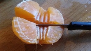 1-16-tips-snijden-voedsel-eten-voeding-baby-appel-tomaatjes-druif-tomaat-manderijn-pitjes-broodje-1-jaar-stikken-verslikken-niet-manderijn