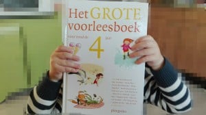 het grote voorlees boek - rond 4 jaar - vele schrijvers - illustraties - herkenning - voor het slapen gaan - nanny annelon - veel kleur66