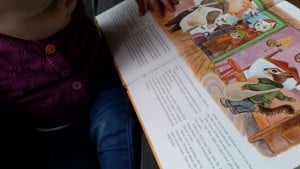 2-16-boekreview-boek-het-dorp-aan-de-rivie-leuk-voor-slapen-gaan-voorlezen-voorleesboek-kleine-verhaaltjes-bladzijde