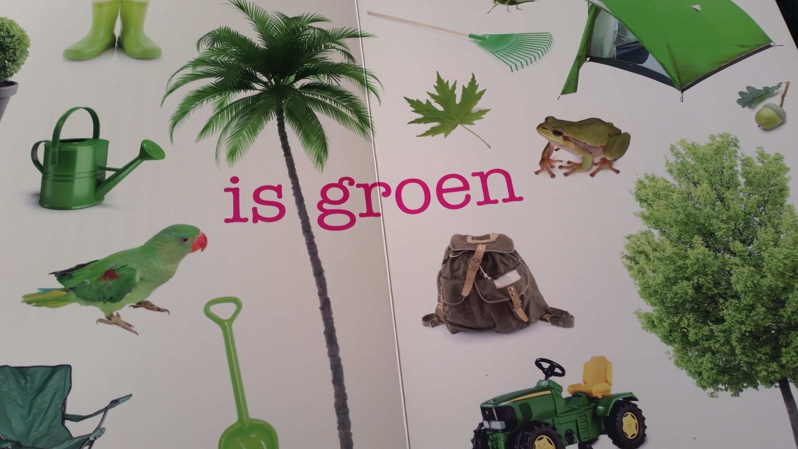 5-15-boek-dik-karton-aanwijsboek-aanwijzen-dingen-1-jaar-2-3-4-die-daar-leuk-nanny-moeder-amsterdam-verjaardag-groen