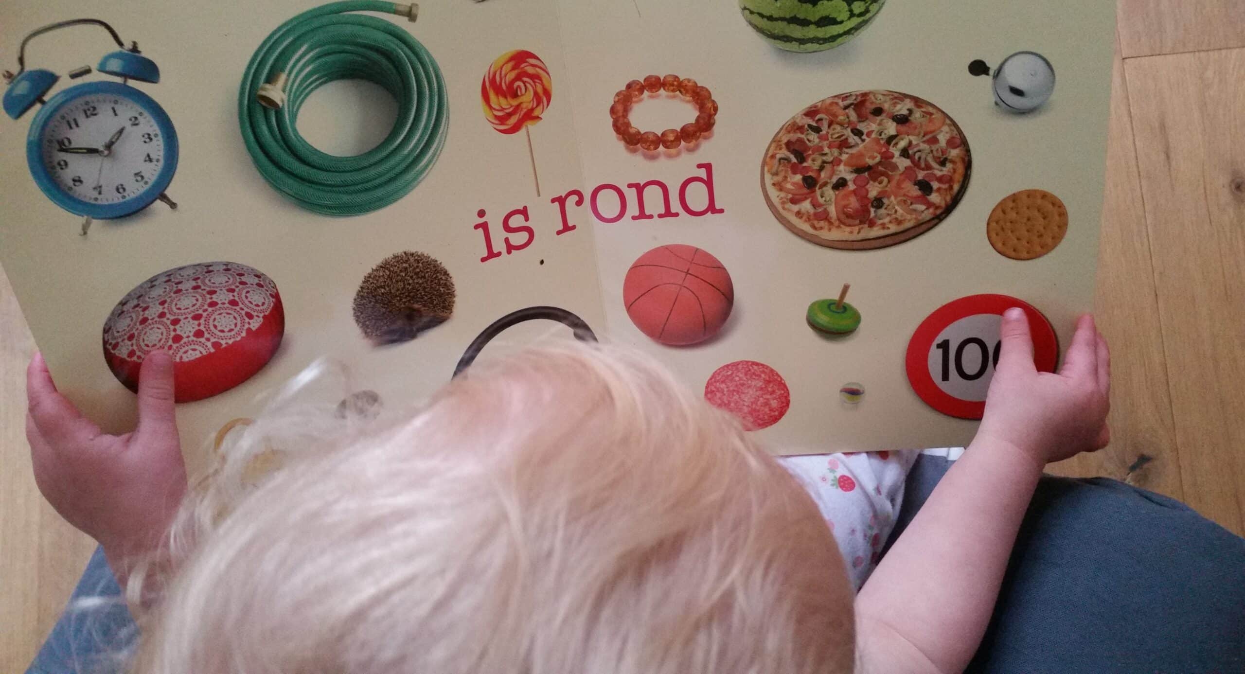 5-16-boek-die-daar-boekreview-boeken-lezen-peuter-dreumes-1-jaar-kartonboekje-karton-kartonboek-rond