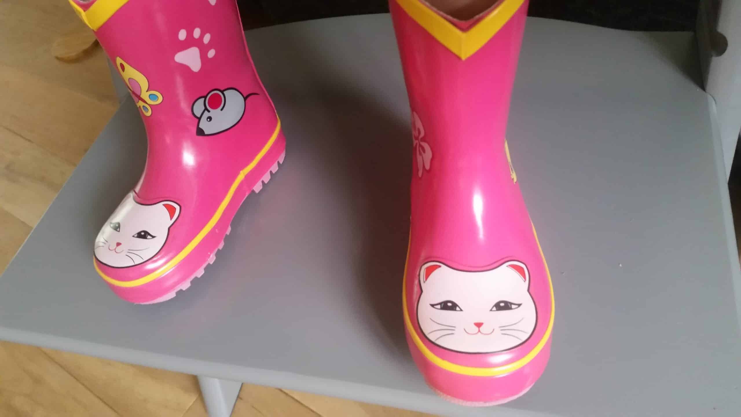 6-16-boofies-webshop-regenlaarsjes-regenlaarzen-laarzen-muis-poes-fiets-roze-nanny-moeder-amsterdam-voorkant