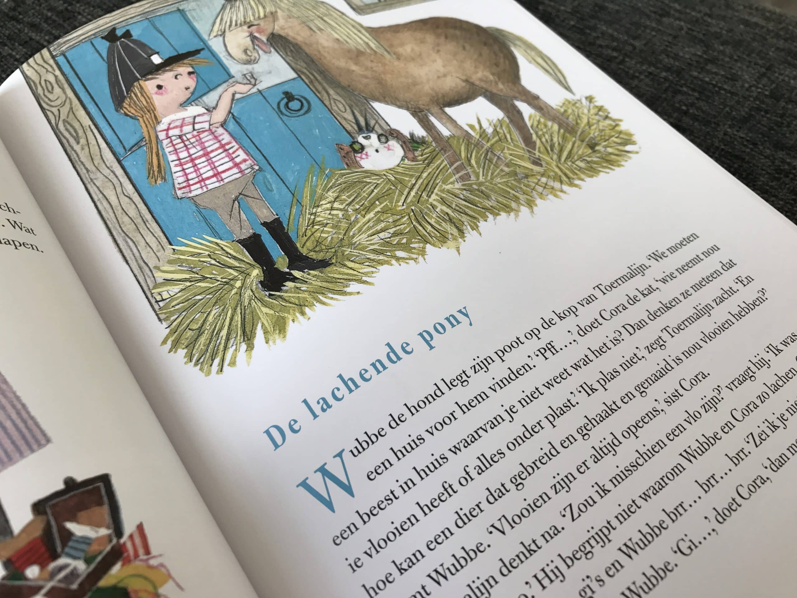 10-16-gouden-voorleesboek-boek-voorlezen-boekreview-boeken-fiep-westendorp-nola-baby-kinderen-nanny-moeder-mama-blog-verhaal