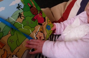 4-15-kinderplezier-boeken-kinderen-baby-pakket-boekenpakket-sesamstraat-bumba-percy-konijn-puzzel